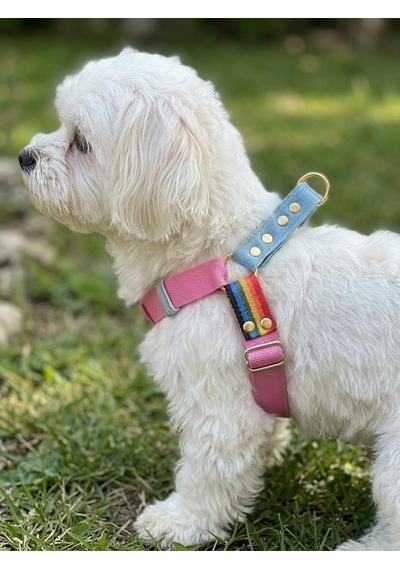 Köpek Göğüs Tasması Orta Irk Ayarlamalı Kolon Kordon Pembe