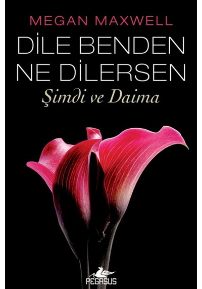 Dile Benden Ne Dilersen: Şimdi ve Daima - Dile Benden Ne Dilersen
