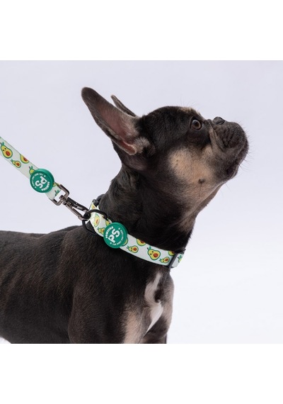 Avocado Avokado Desenli Köpek Boyun Tasması Ayarlanabilir Köpek Tasması Yeşil