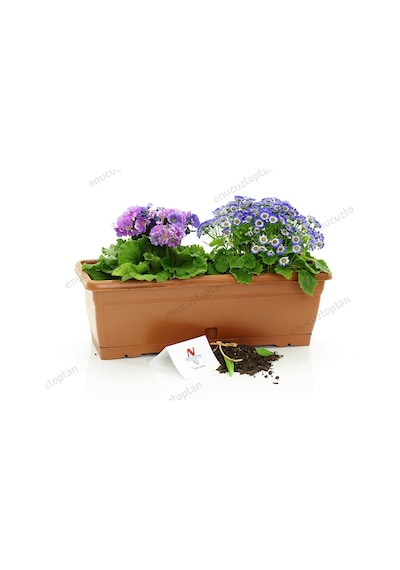 Serinova V620 Villa Balkon Saksı 10 Litre 5Li Set | Id1372