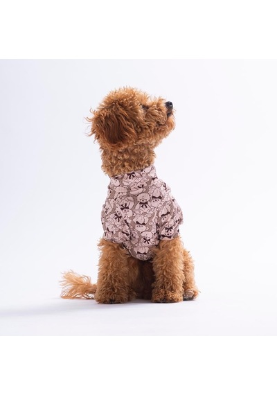 Bearline Ayı Desenli Kedi Köpek Sweati - Kedi Köpek Kıyafeti-kedi Köpek Sweati