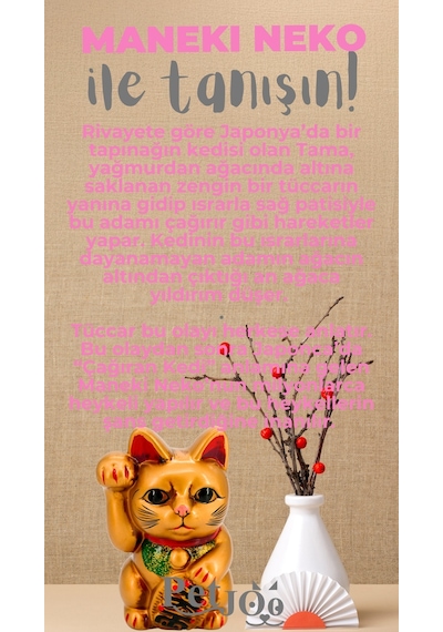 Petjoo 4.Maneki Neko Gri-Pembe Qr'lı Kedi Künyesi