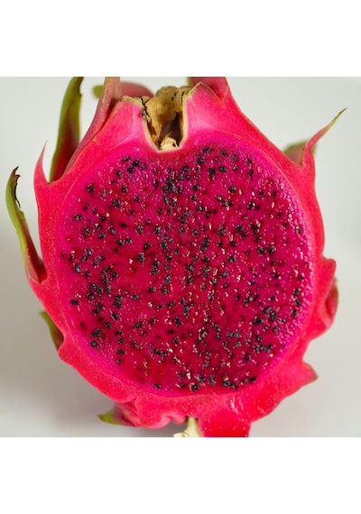 15 Adet Kırmızı Pitaya Ağacı Tohumu Pitaya Tohum + Tohum