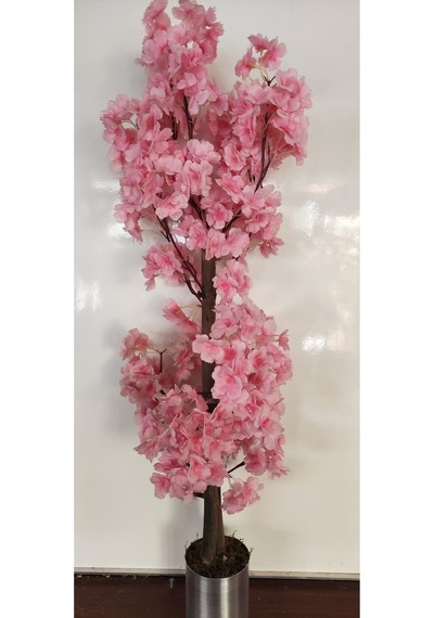 Rüzgar Çiçekcilik 1 Metre Açık Pembe Bahardali Pembe