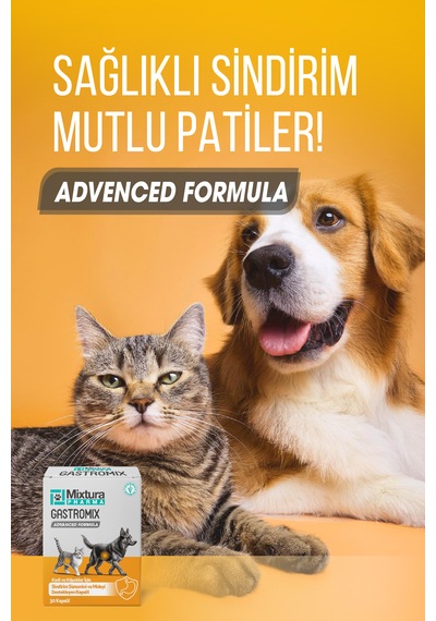 Mixtura Pharma Gastromix Mide Ve  Sistemini Kedi Ve Köpek Mide Koruyucu