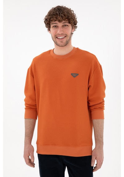 U.S. Polo Assn. Erkek Comfort Fit Bisiklet Yaka Tarçın Sweatshirt 50290777-VR191