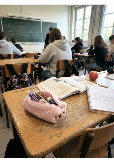 Sevimli Labubu Karakterli Tüylü Kalemlik Fermuarlı Yumuşak Kalem Kutusu Pembe Pembe