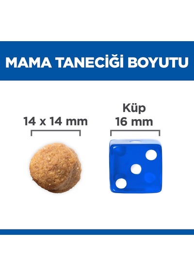 's Science Plan Yetişkin Büyük Irk Kuzulu & Pirinçli Köpek Maması 12 + 2 Kg