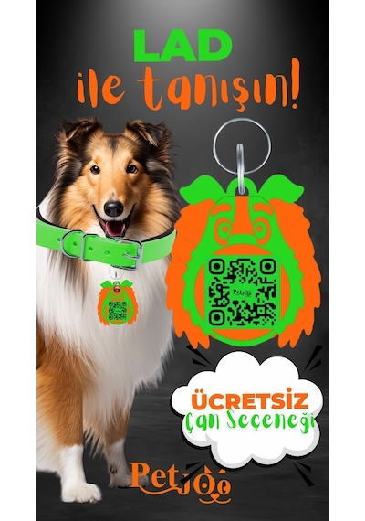 Petjoo 23.Lad Turuncu-Yeşil Qr'lı Köpek Künyesi