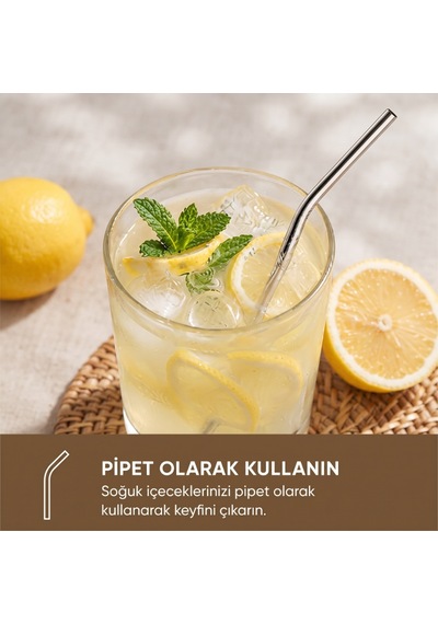 6'lı Kaşıklı Pipet Seti - Metal - Pipet Temizleme Fırçası Çok Renkli