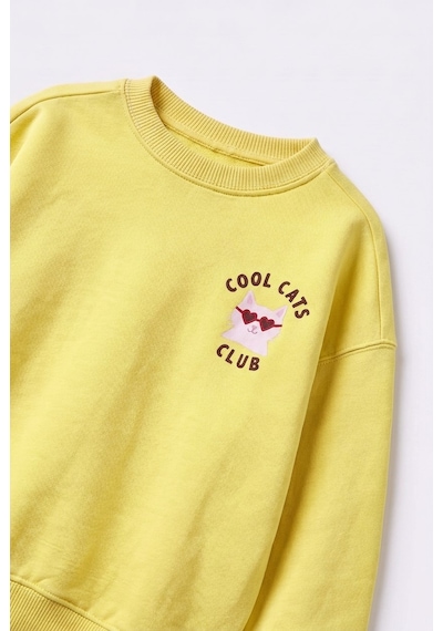 Magu Çocuk Cool Cats Club Sweatshirt Ve Çizgili Eşofman Takımı Çok Renkli