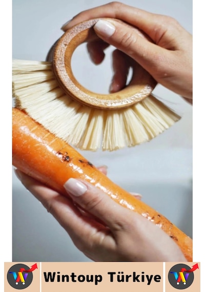 Ergonomik Kolay Tutuş Sert Bitkisel Kıllı Havuç Patates Pancar Turp Sebze Meyve Yıkama Fırçası