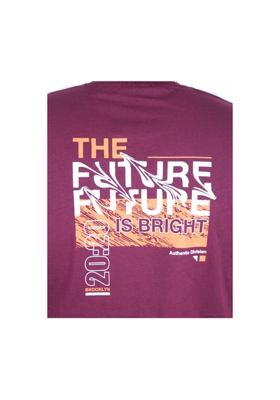 Moc Grande Mocgrande Erkek Büyük Beden Sıfır Yaka Tişört The Future 25138 Murdum Murdum Mürdüm Moc Grande Mocgrande Erkek Büyük Beden Sıfır Yaka Tişört The Future 25138 Murdum Murdum Mürdüm