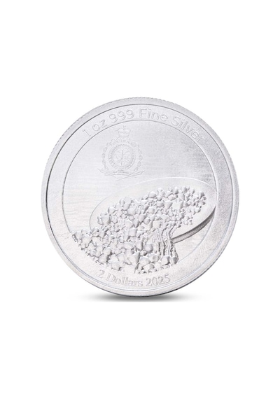 Agakulche Maden Ocağı Gümüş Sikke Coin