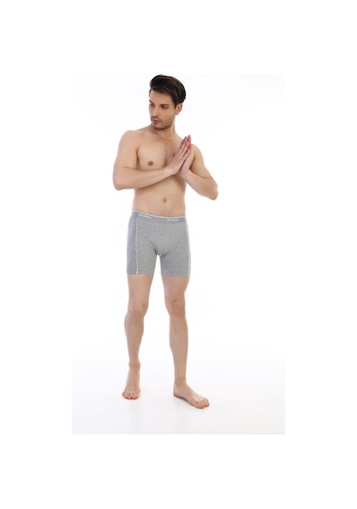 Çift Kaplan Erkek Elastanlı Biyeli Gri Melanj Uzun Boxer 855 Gri