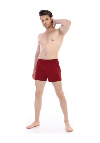 3 Adet Çift Kaplan Erkek Pamuklu Penye Boxer 805 Bordo