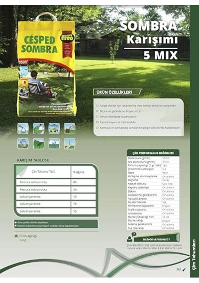 Semillas Fito Sombra Karışımı 5 Mix Gölge Alanlar İçin Çim Tohumu 5 Kg