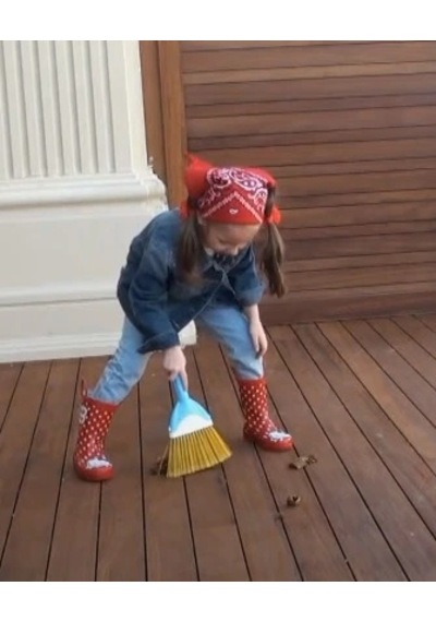 Temizlik Setleri Pratik El Süpürgesi 28 Cm