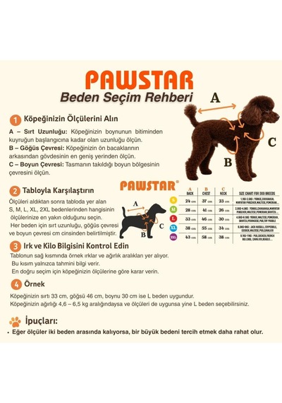 Pawstar Osaka Smile Polarlı Su Geçirmez Küçük Irk Köpek Yağmurluğu 2xl 2xl