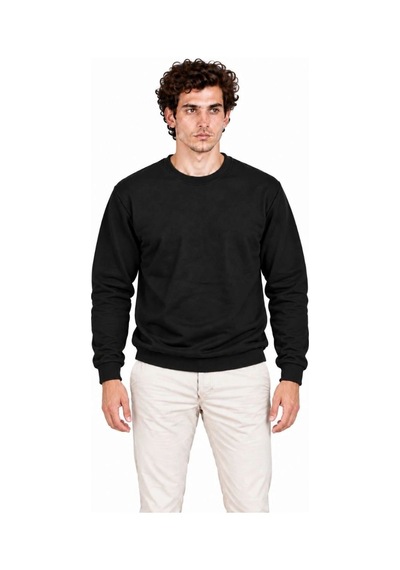 Erkek 2'li Bisiklet Yaka İçi Şardonlu 2 İplik Düz Uzun Kollu Regular Fit Sweatshirt - Siyah & Gri Çok Renkli