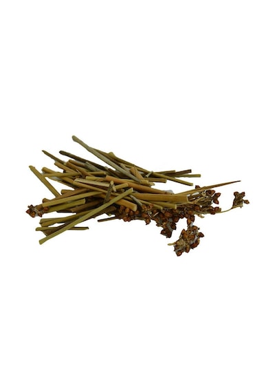 Kayışkıran Otu Doğal 100 Gr Paket
