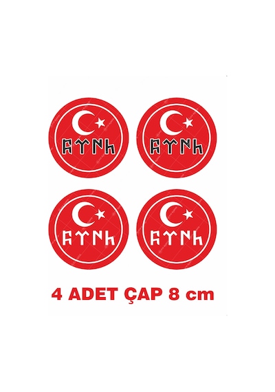 4 Adet Göktürkçe Türk Yazısı Ütü İle Yapışan Tekstil Kumaş Tişört Dtf Baskı 3447