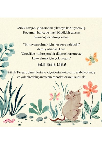 Mini Hayvan Masalları - 3 Adet Resimli Masal Kitabı / 2 yaş + -