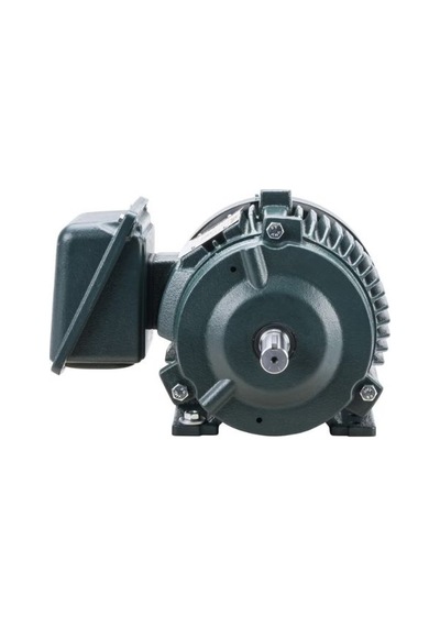 Toshiba Eqp Global Sd 2 Hp 1.5 Kw 1750 Rpm Nema 145t Elektrik Motoru 0024sdsr41a-p