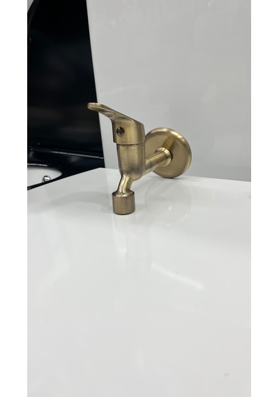 Antik Duvardan Aç Kapa Wc Musluk