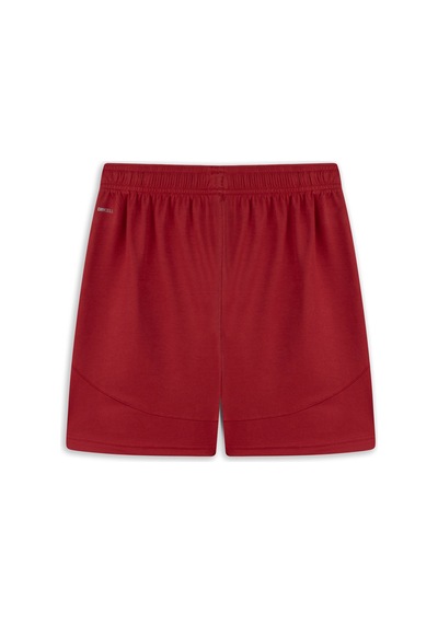 Puma Galatasaray Voleybol Şortu 783368 03 Kırmızı