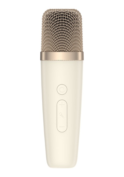 Havit Sk823bt Mikrofonlu Bluetooth Hoparlör Retro Tasarım, Kablosuz Bt V5.3 Karaoke