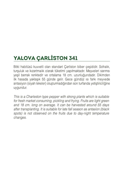 Ata Tohumu Sivri Biber Yalova Çarliston 100 Adet Tohum