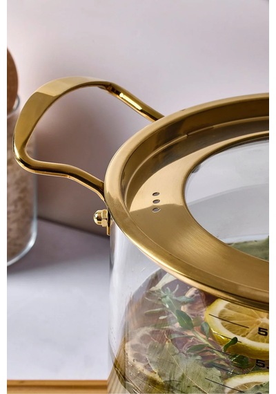 Logan Gold Kapaklı 5,5 L Cam Tencere 20x20 Cm Şeffaf