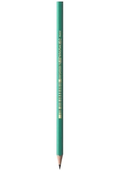 Bıc Evolution 650 Hb Kurşun Kalem, 12'li Kutu, Kıymık Oluşturmaz, Çiğnemeye Karşı Dayanıklı, Kolay Açılır 124-Pembe