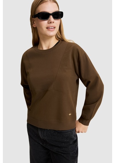 U.S. Polo Assn. Kadın Kahverengi Bisiklet Yaka Sweatshirt 50329004-vr029