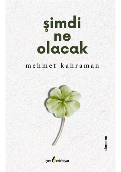 Şimdi Ne Olacak / Mehmet Kahraman