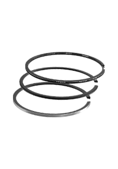 Federal Segman Fm 06-337400.90 Laguna I