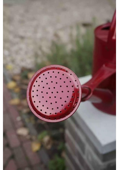 Olivia 3,5 Litre Metal Çiçek Bahçe Sulama Kabı Modern Dekoratif Çok Amaçlı Sulak Transparan Kırmızı