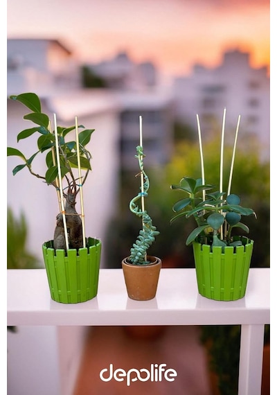 Depolife Bitki Fidan Saksı Destek Kazığı 10 Adet 30cm Bambu Destek Çubuğu Seti