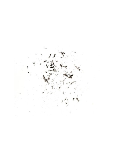 Tombow Mono Zero Kalem Silgi 2,5x5mm Çizgili