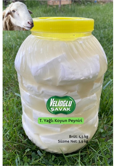 Velioğlu Şavak Tam Yağlı Salamura Koyun Peyniri 4 KG