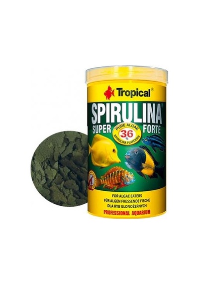 Tropical Spirulina Super Forte Pul Yem 50 Gr Kovadan Bölme