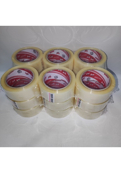 Vege Koli Bandı Aslan Şeffaf 18 Adet 45 × 100 Mt.