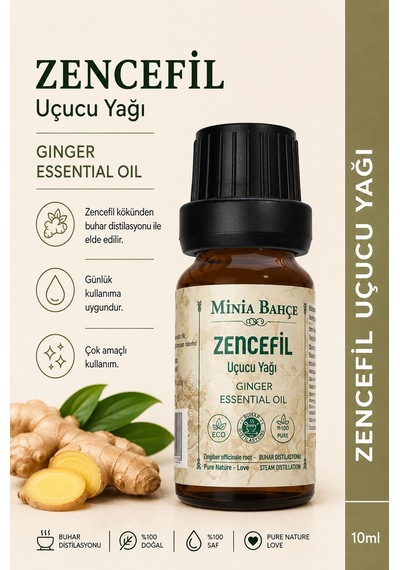 Minia Bahçe Bitki Ve Sanat Atölyesi Zencefil Uçucu Yağı Saf ve Katkısız Bitkisel Uçucu Yağ 10 ML