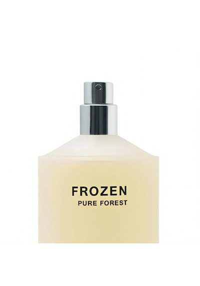 Zara Frozen Pure Forest Perfume For Men Eau De Parfum Edp 100ml Baharat - Odunsu