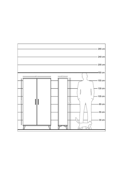 Arges Dolap 2 Raflı Kapaklı Tek Askılı 88x30x163 Antrasit-ant... Antrasit