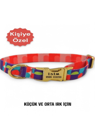Caramelos Köpek Tasması-küçük Irk Ve Orta Irk İsimli Tasma 18 Turuncu - Yeşil