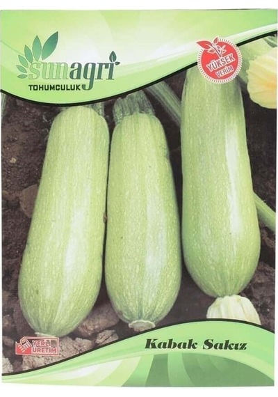 Sunagri Sakız Kabak Tohumu