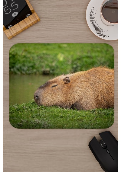 Capybara Kaymaz Dikişli Kauçuk Oyuncu Mousepad V1 - 22x18 Gaming Mouse Pad Fare Altlığı