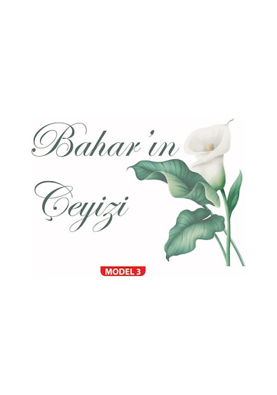 12 Adet Resimli Kişiye Özel Çeyiz Kolisi Etiketi